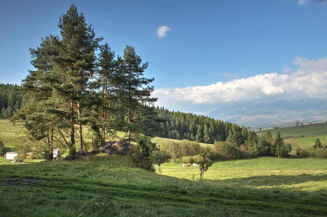 Apartmany pod Tatrami Ważec Zewnętrze zdjęcie